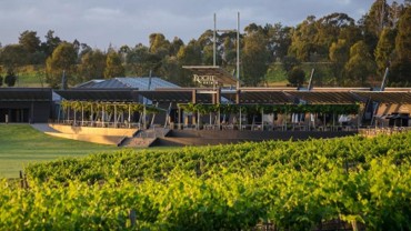 Winery restaurant long lunch overlooking vineyard
